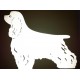 Reflective Cocker Spaniel