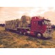 Transport Transport