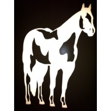 Reflective Paint Horse