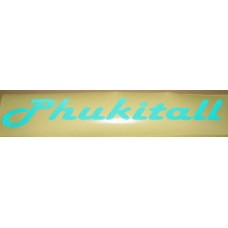 Reflective Vinyl Phukitall Bug Deflector