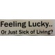 Bumper Sticker Decal - Feeling Lucky or Just Sick of Living?